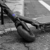 The E-Scooter Insurance Blind Spot: What Actually Happens After a Collision