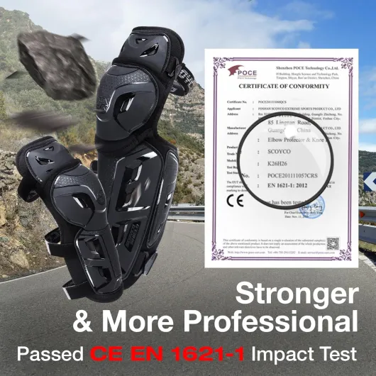 81gZjjoVeWL._AC_SL1500_