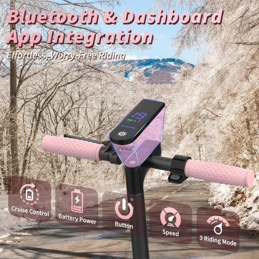 917d4TaR-EL._AC_SL1500_