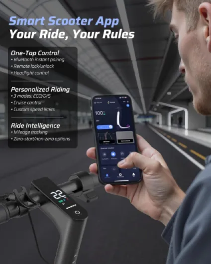 81-CYU-XcVL._AC_SL1500_