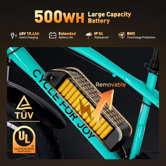 81v5mJhv9OL._AC_SL1500_