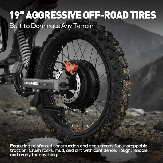 81RroyHQGPL._AC_SL1500_