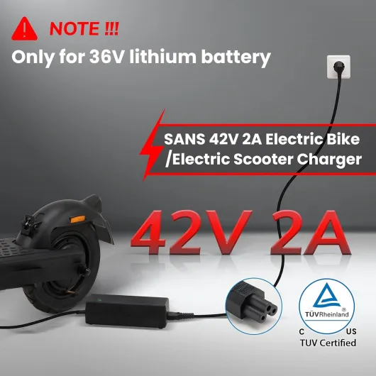 71GuwZuW8iL._AC_SL1500_