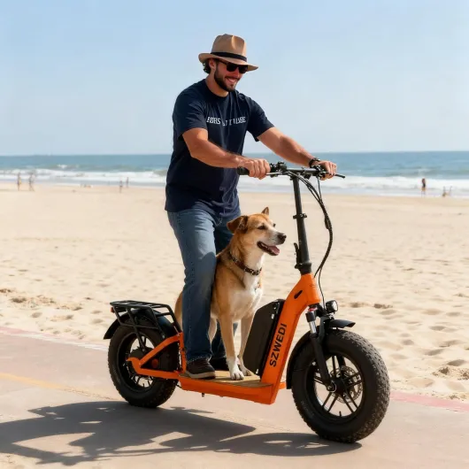 81NkJCBC gL._AC_SL1500_