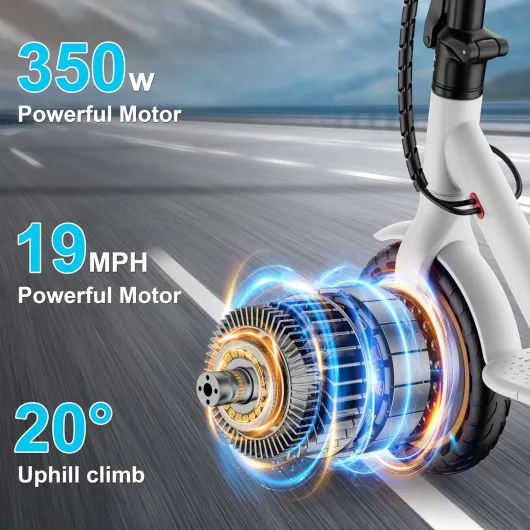 81Vw5NMAzlL._AC_SL1500_