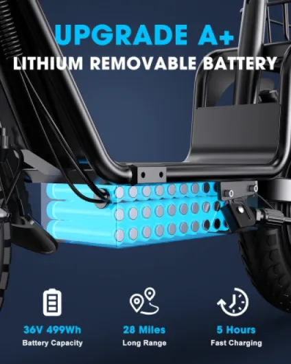 71AF9vuLUjL._AC_SL1500_