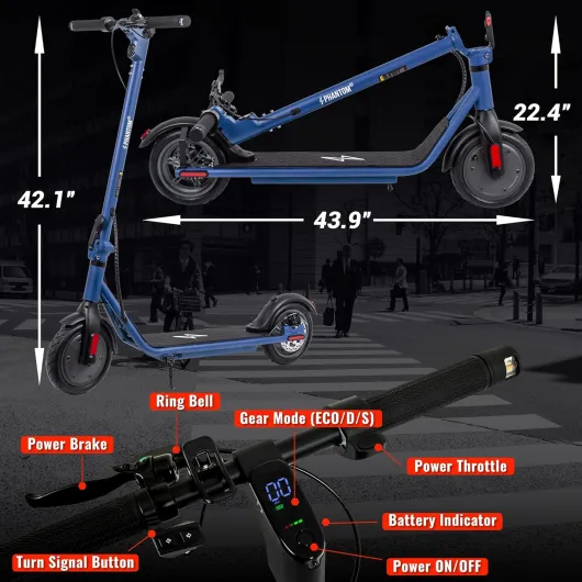 81f3Xy-GBgL._AC_SL1500_