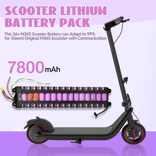 71mZyHlyTyL._AC_SL1500_